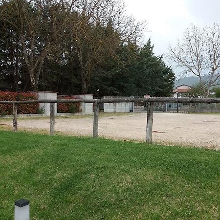 Il Boscaiolo Affittacamere Preturo Exterior foto